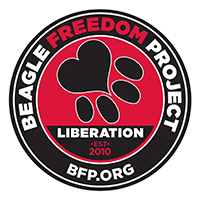 Beagle Freedom Project logo